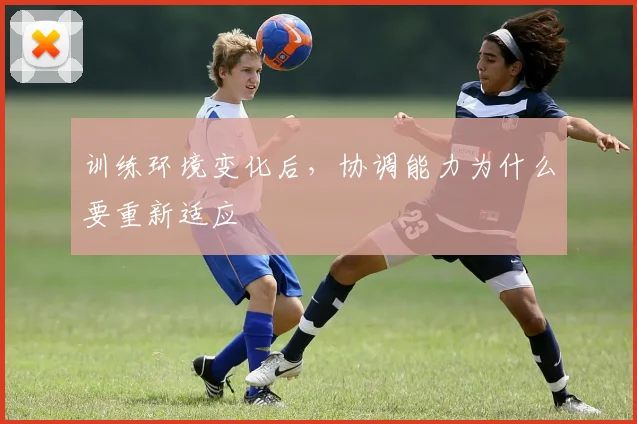 训练环境变化后，协调能力为什么要重新适应