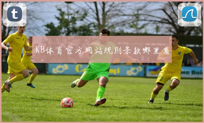 KB体育官方网站规则条款哪里看
