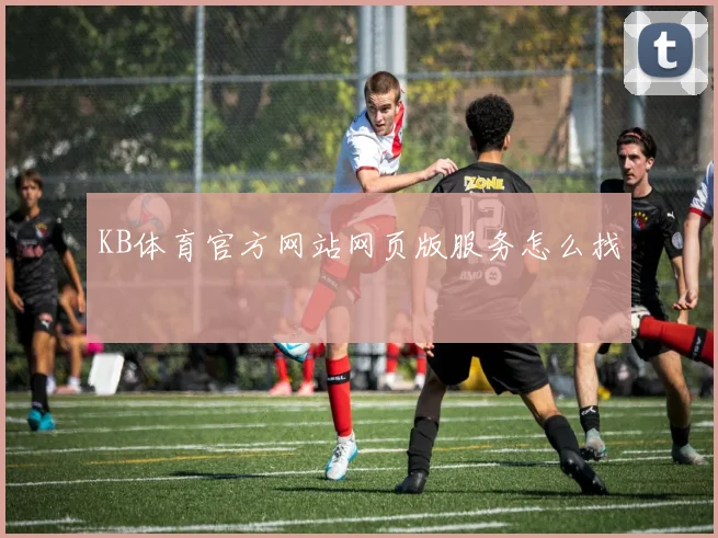 KB体育官方网站网页版服务怎么找