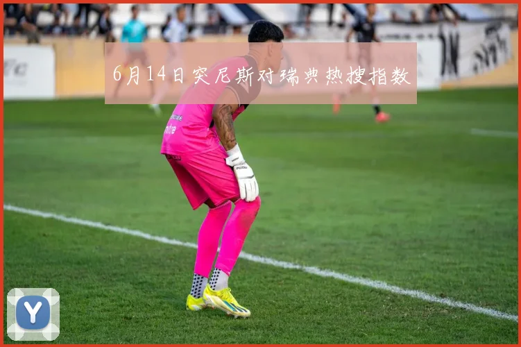 6月14日突尼斯对瑞典热搜指数