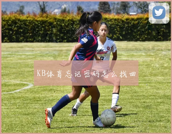 KB体育忘记密码怎么找回