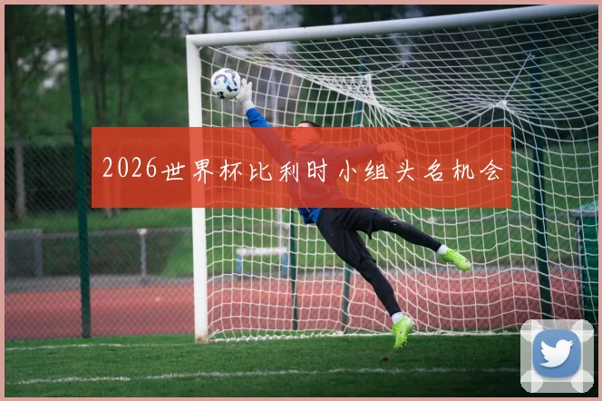 2026世界杯比利时小组头名机会