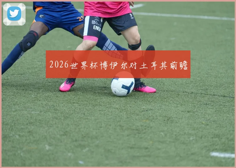 2026世界杯博伊尔对土耳其前瞻