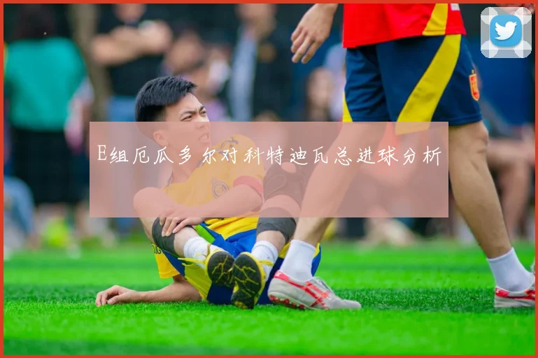 E组厄瓜多尔对科特迪瓦总进球分析